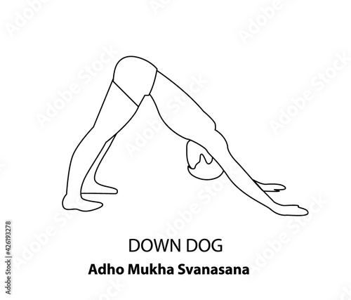 Man practicing yoga pose isolated outline Illustration. Man standing in down dog or adho mukha svanasana, Yoga Asana line icon