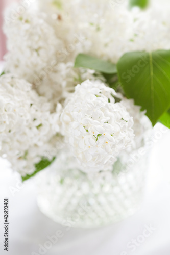 Fresh Cut White Lilac in bright natural light in vintage crystal vase