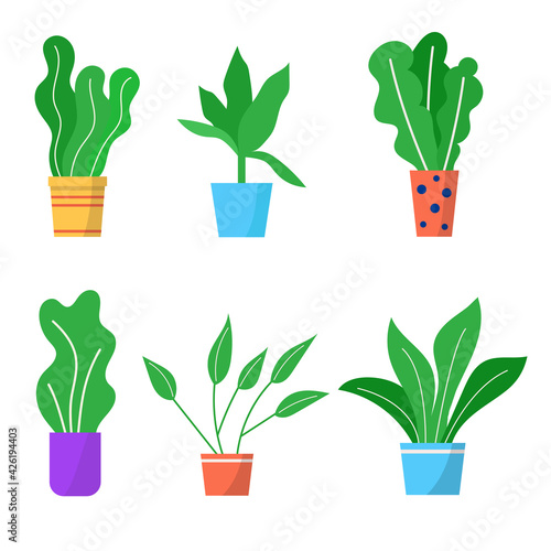 Flower pot set, vector illustration. Green garden plant in flowerpot, floral natural decoration, isolated on white collection. Potted houseplant