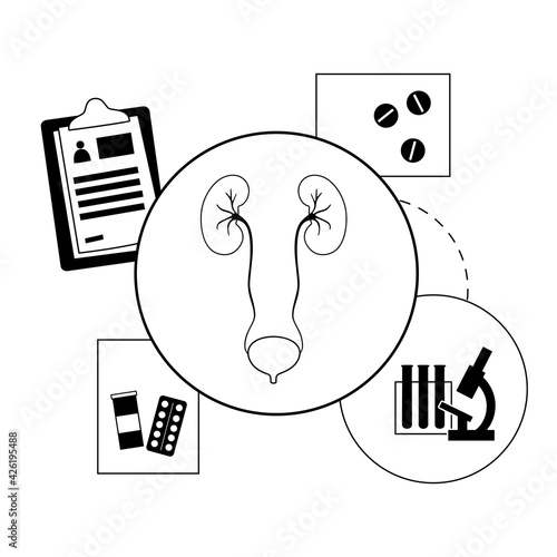 Kidney disease concept