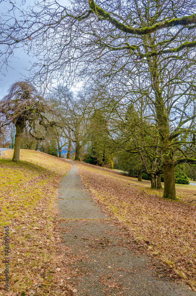 Fragment of a trail in Vancouver, Canada.