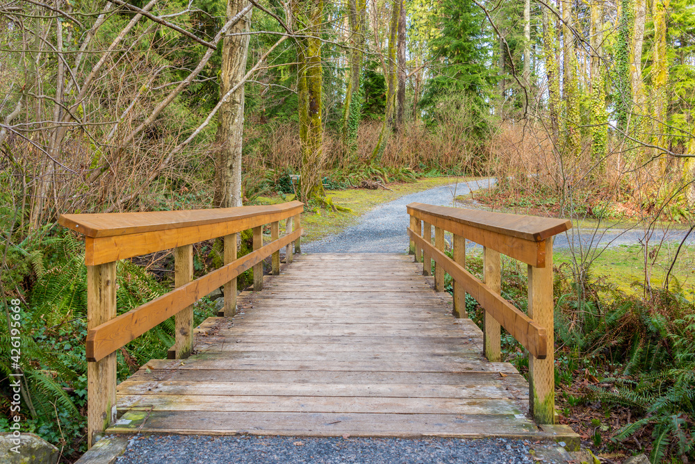 Fragment of Malcolm Lowry Trail trail in Cates Park, Vancouver, Canada Fragment of Malcolm Lowry Trail trail in Cates Park, Vancouver, Canada