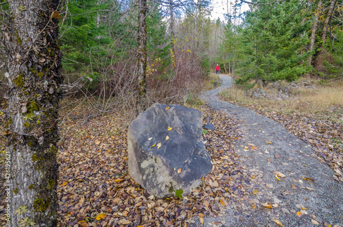 Fotografía Fragment of Lucille Lake trail in Whistler, Vancouver, Canada.