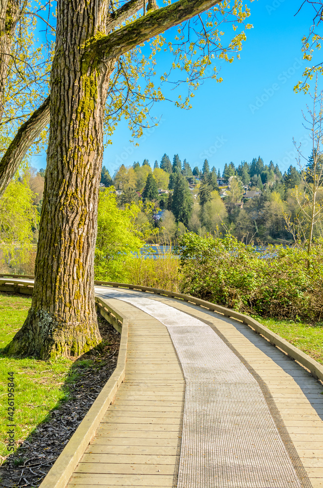 Fragment of Deer Lake trail in Vancouver, Canada. Fragment of Deer Lake trail in Vancouver, Canada.