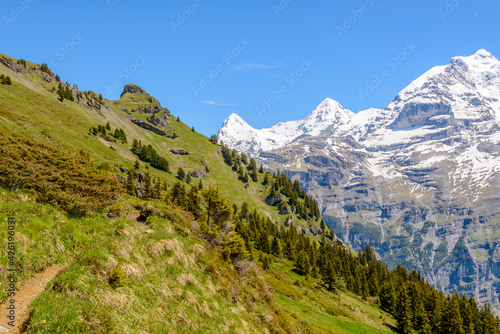 View of beautiful landscape in the Alps with fresh green meadows and snow-capped mountain tops in the background on a sunny day with blue sky and clouds in springtime.