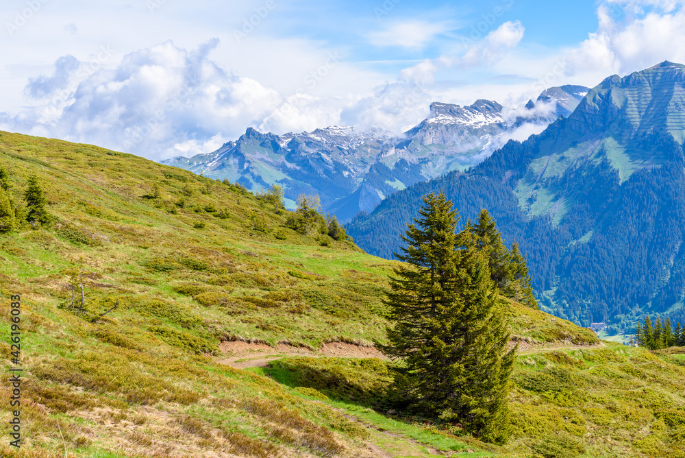 Obraz premium Crossing the Alps. Hiking trail in the Alps.
