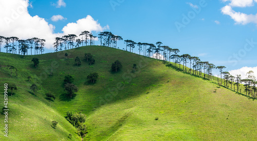 landscape with trees and mountains and blue sky