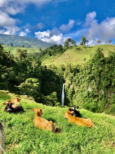 landscape in the village with a waterfall in Costa Rica