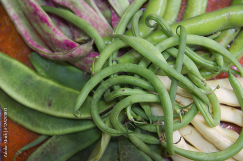 Some typical Mediterranean vegetables: broad beans, beans, garrofon, round bean and tabella bean photo