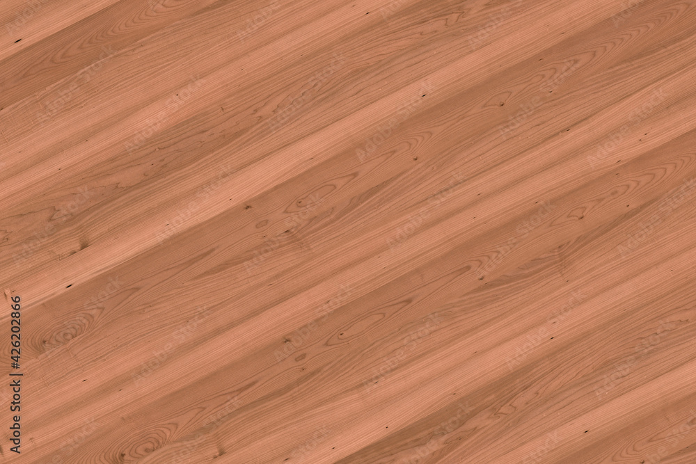 Obraz premium maple tree timber background texture structure surface