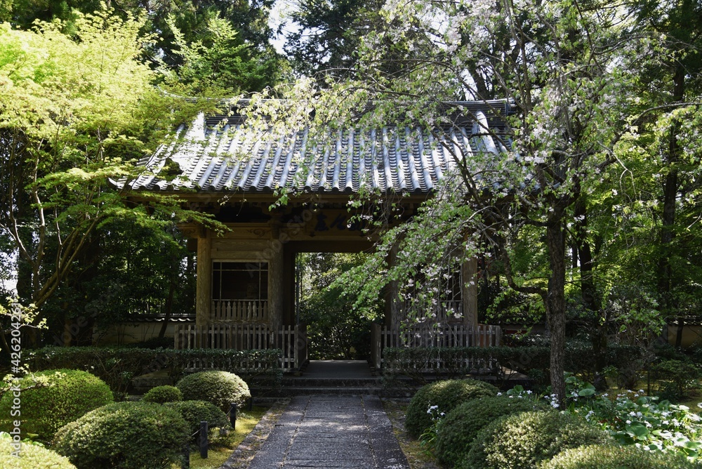 Famous tourist attractions in Japan Zen temple 'Ryotanji'. Hamamatsu, Shizuoka.