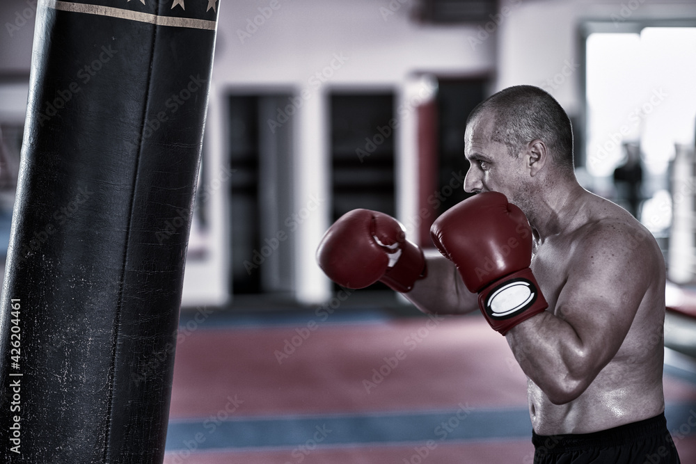 Boxer training  hitting the heavy bag