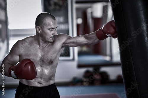 Boxer training hitting the heavy bag