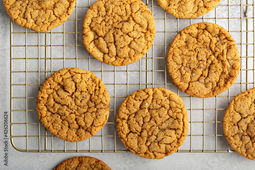 Thin and chewy molasses cookies on a baking rack photo