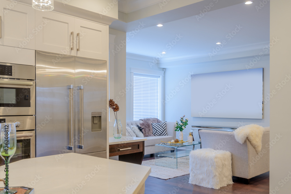 Fototapeta premium Interior design of a luxury living room