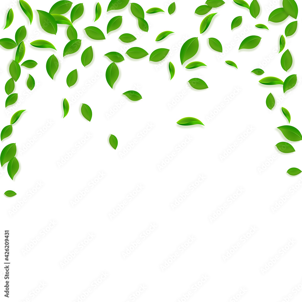 Falling green leaves. Fresh tea chaotic leaves fly Falling green leaves. Fresh tea chaotic leaves fly