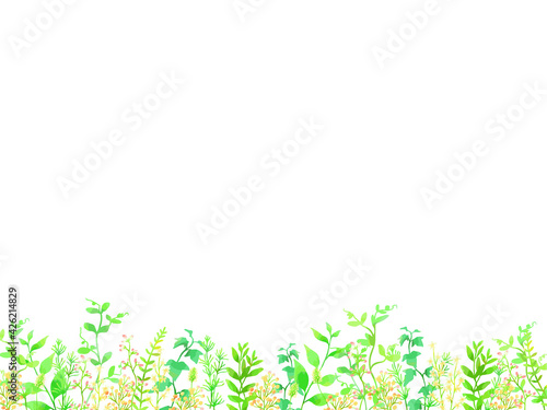 水彩風、手描きの植物のイラストフレーム