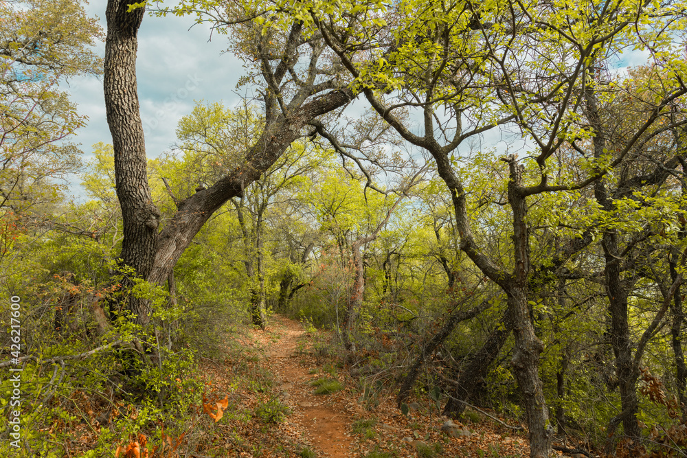 Fototapeta premium Lake state park, Brownwood Texas, nature landscape