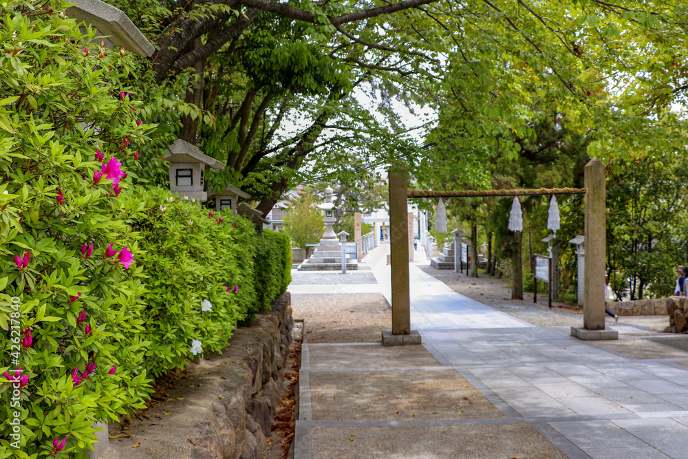春の緑に囲まれた廣田神社の参道