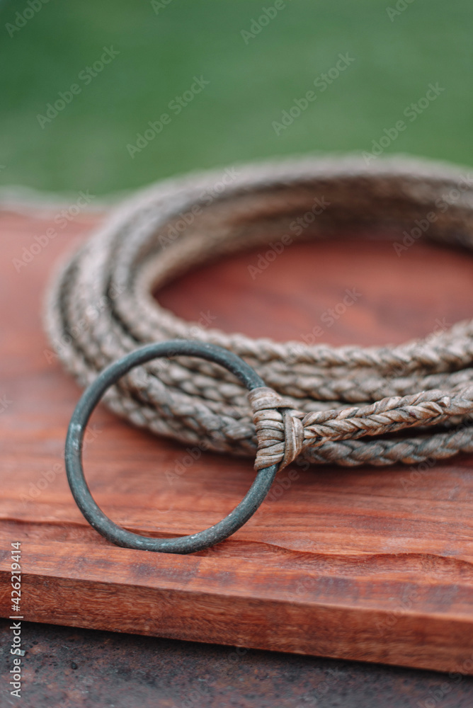 Obraz premium close up of rope on a board