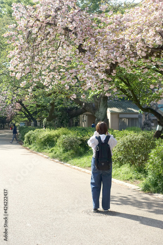 春の花を撮影する少女の後ろ姿