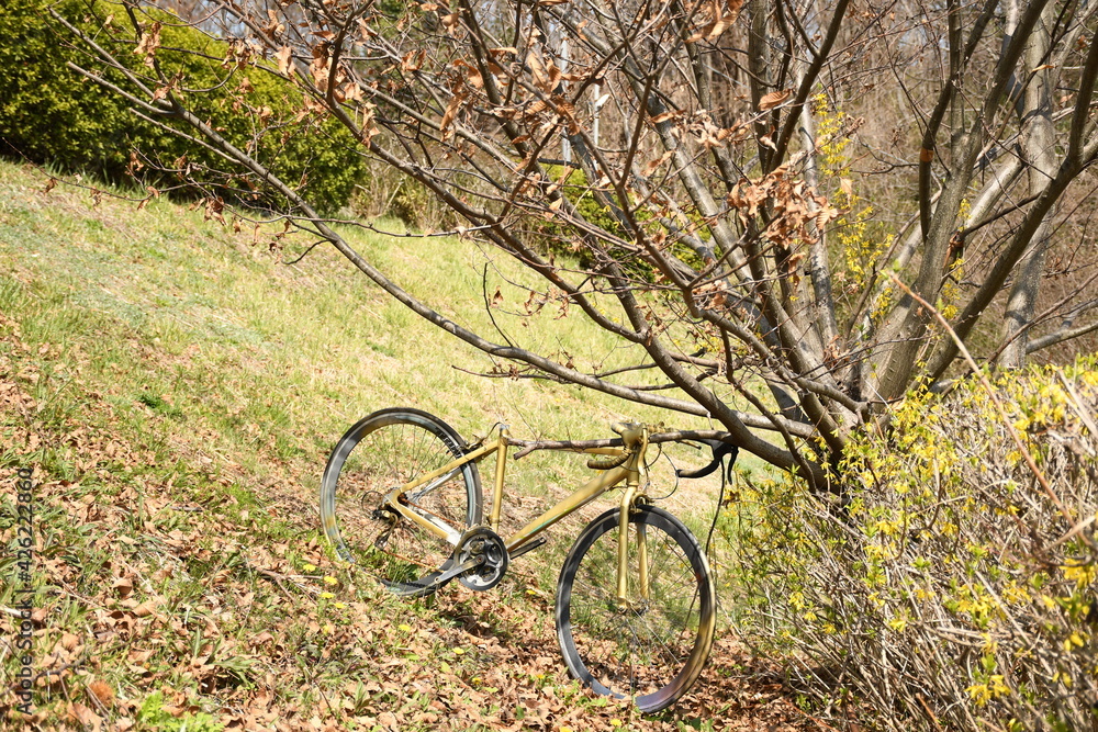 Bicycle in spring Bicycle in spring