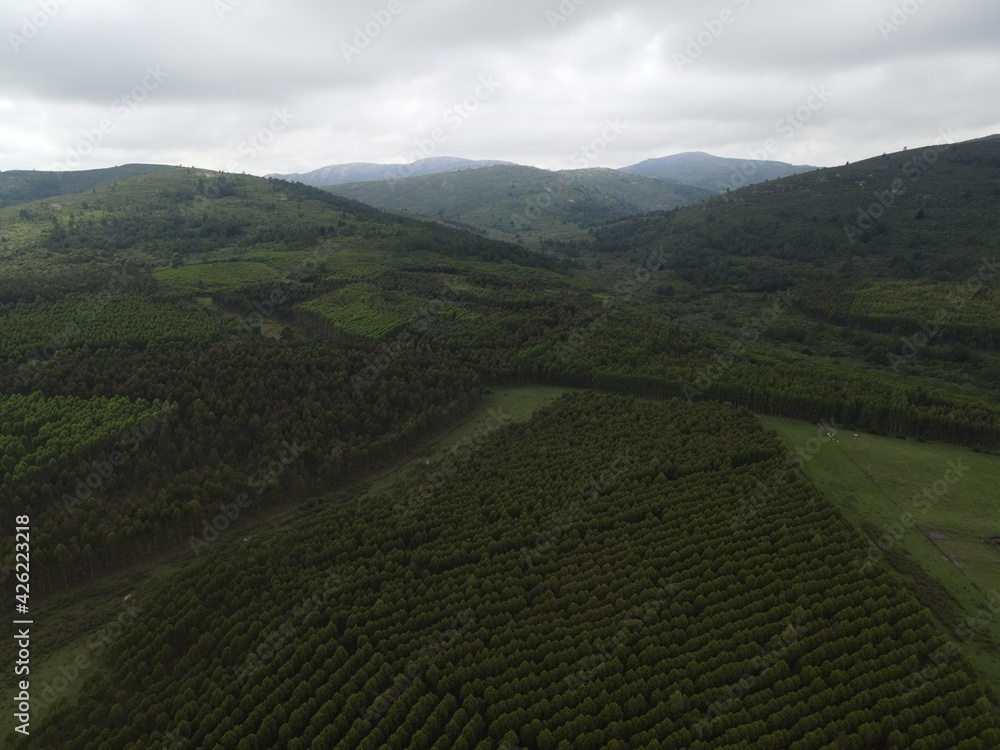 Las Sierras en Uruguay.
Las Sierras en Uruguay.