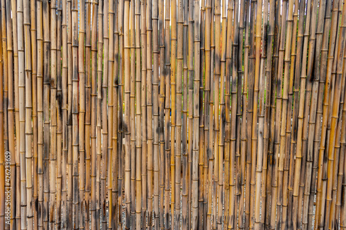 bamboo fence divider texture pattern