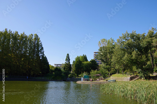 住宅街の広い自然豊かな公園　のどかな休日