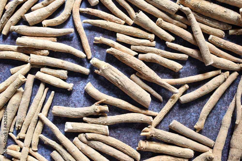 Raw whole dried Indian ginseng root