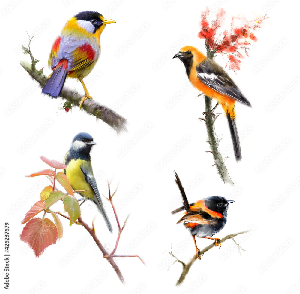 Birds Digital Hand Painted Pastel Color  Illustration Set isolated on white background.