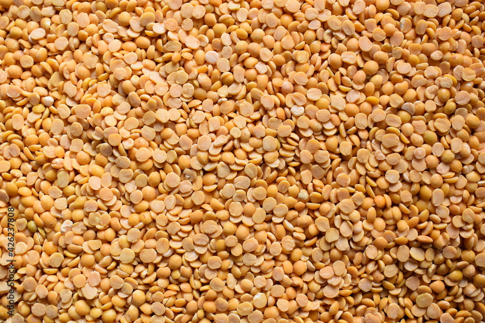 Yellow color raw dried split Pigeon pea lentils Yellow color raw dried split Pigeon pea lentils