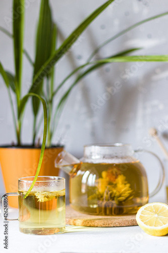 Flowering tea in a glass transparent teapot.