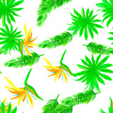 Organic Pattern Plant. Natural Seamless Texture. Green Tropical Texture. White Isolated Illustration. Drawing Painting. Decoration Leaves. Wallpaper Design.