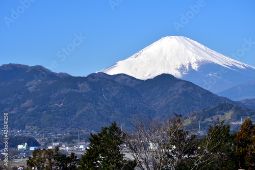 松田山展望 残雪の富士山