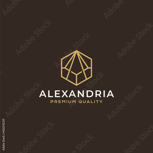 letter AM luxury logo vector icon illustration modern style for your business