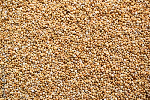 Raw whole dried Kodo millet