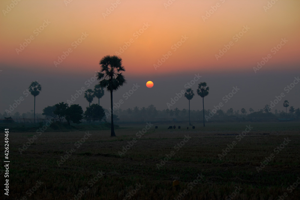 The beautiful sunset images taken in Rural India.