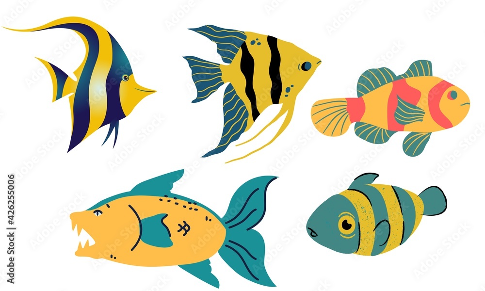 set of fish set of fish