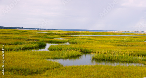 Bridge in marsh waterway on Cape Cod, Massachusetts