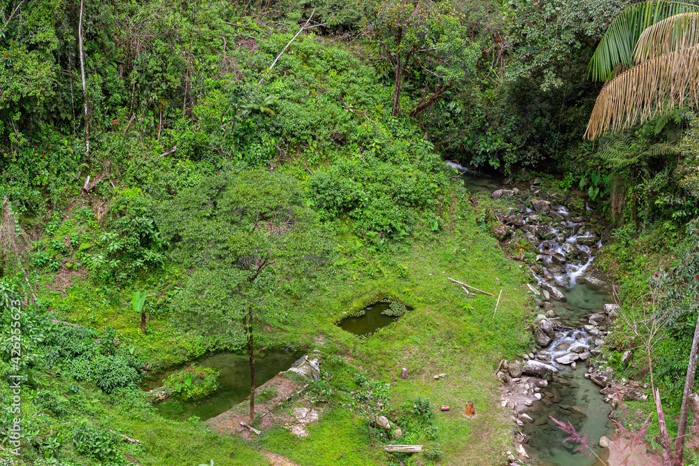 waterfall with rivers surrounded by lots of nature (horizontal) waterfall with rivers surrounded by lots of nature (horizontal)