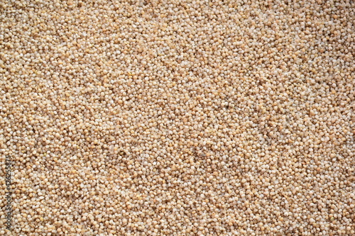 Raw whole dried barnyard millet