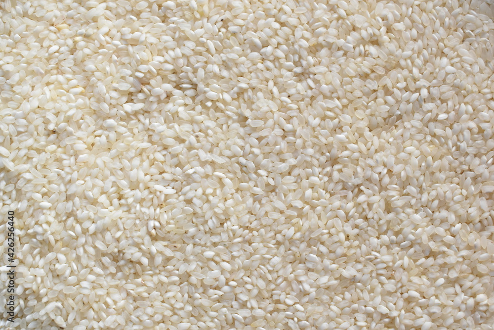 Raw whole dried Idli parboiled rice Raw whole dried Idli parboiled rice