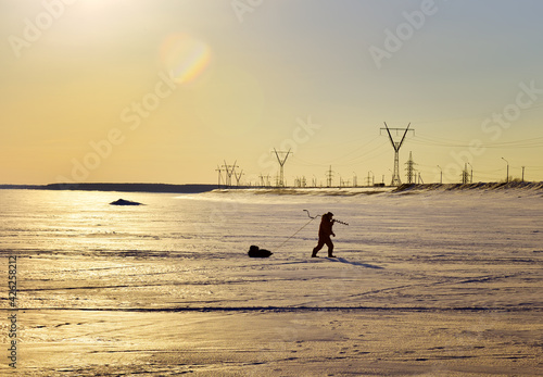 Winter sunset on the Ob Sea. The silhouette of a fisherman walking on the ice of the frozen water area of the reservoir, the dam of the Novosibirsk hydroelectric power station. Siberia, Russia