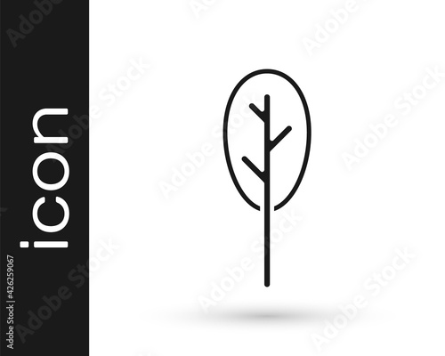 Black Spinach icon isolated on white background. Vector