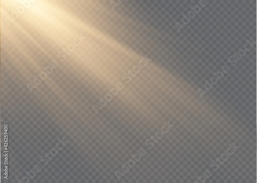 Vector transparent sunlight special lens flash light effect.