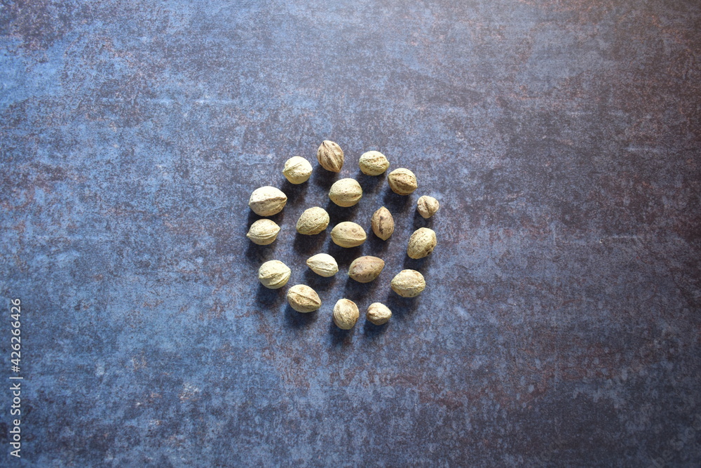 Raw whole dried seed of Terminalia bellirica fruit Raw whole dried seed of Terminalia bellirica fruit