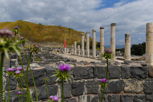 Beit She'an NP, Israel photo