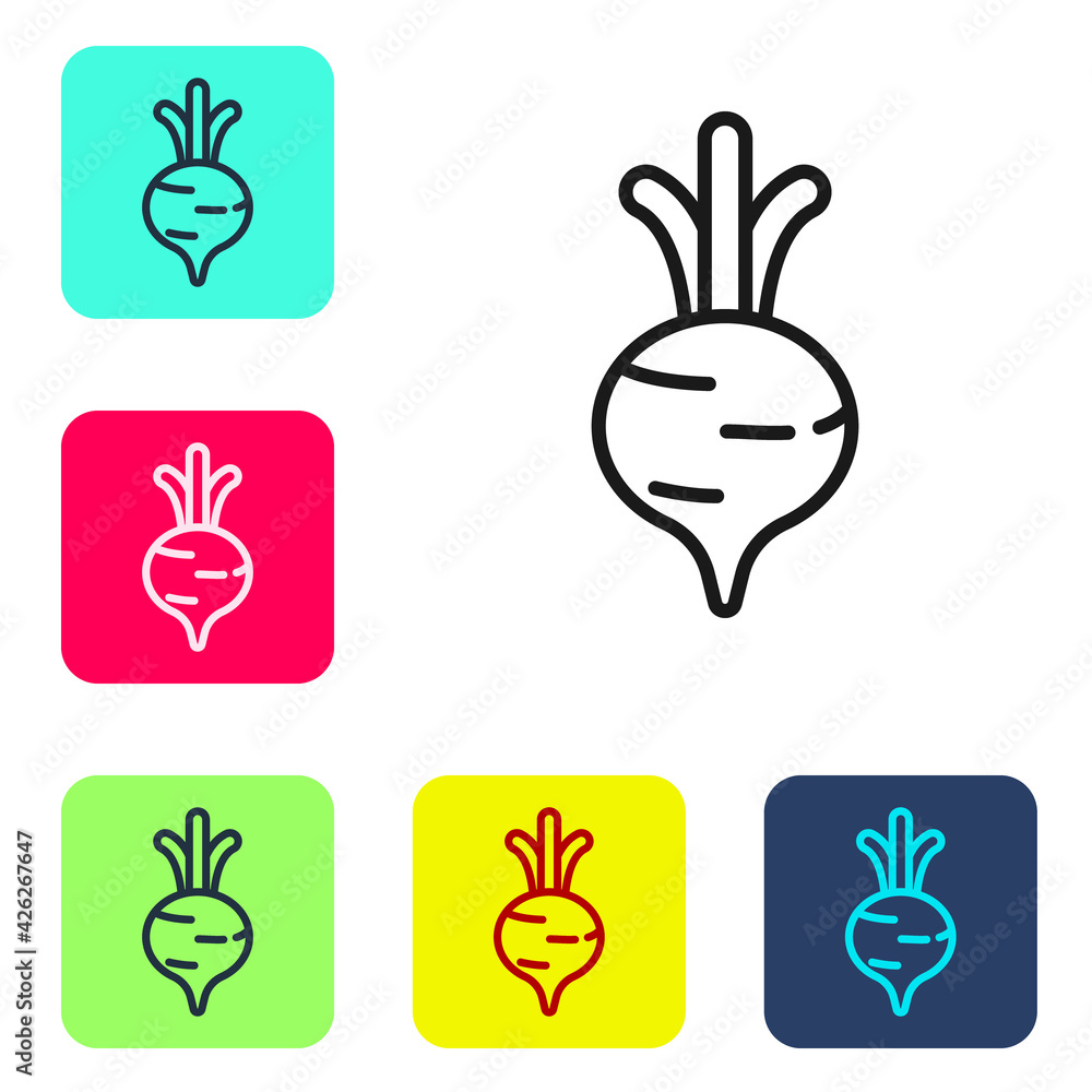 Fototapeta premium Black line Fresh beet with leaf icon isolated on white background. Natural Root. Vegetable Ingredient for food. Set icons in color square buttons. Vector