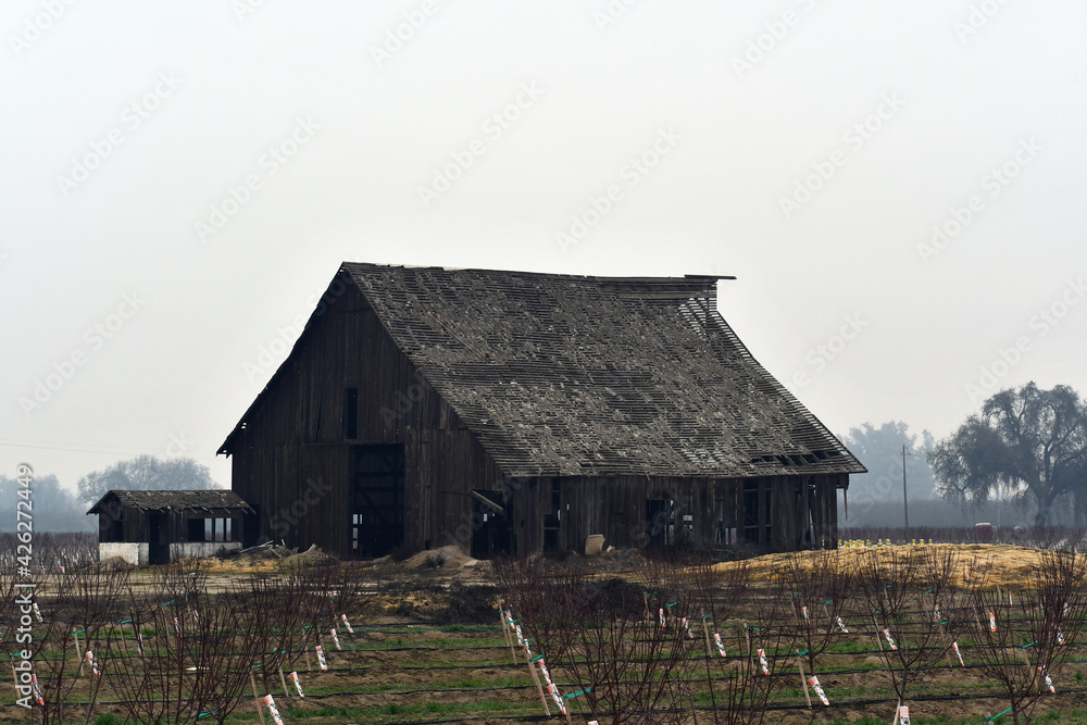Close up shot of an abandoned farm Close up shot of an abandoned farm